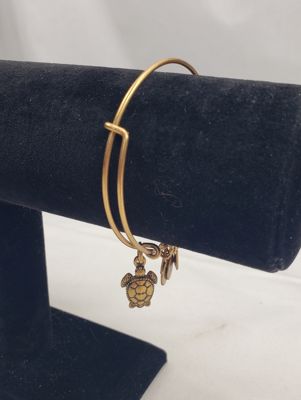 Alex and Ani Turtle Gold Bracelet - Picture 3 of 4